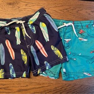 Carter’s Swim Trunk Set